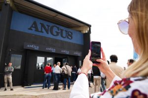 ¿Qué sucede en el 3° día de Angus?