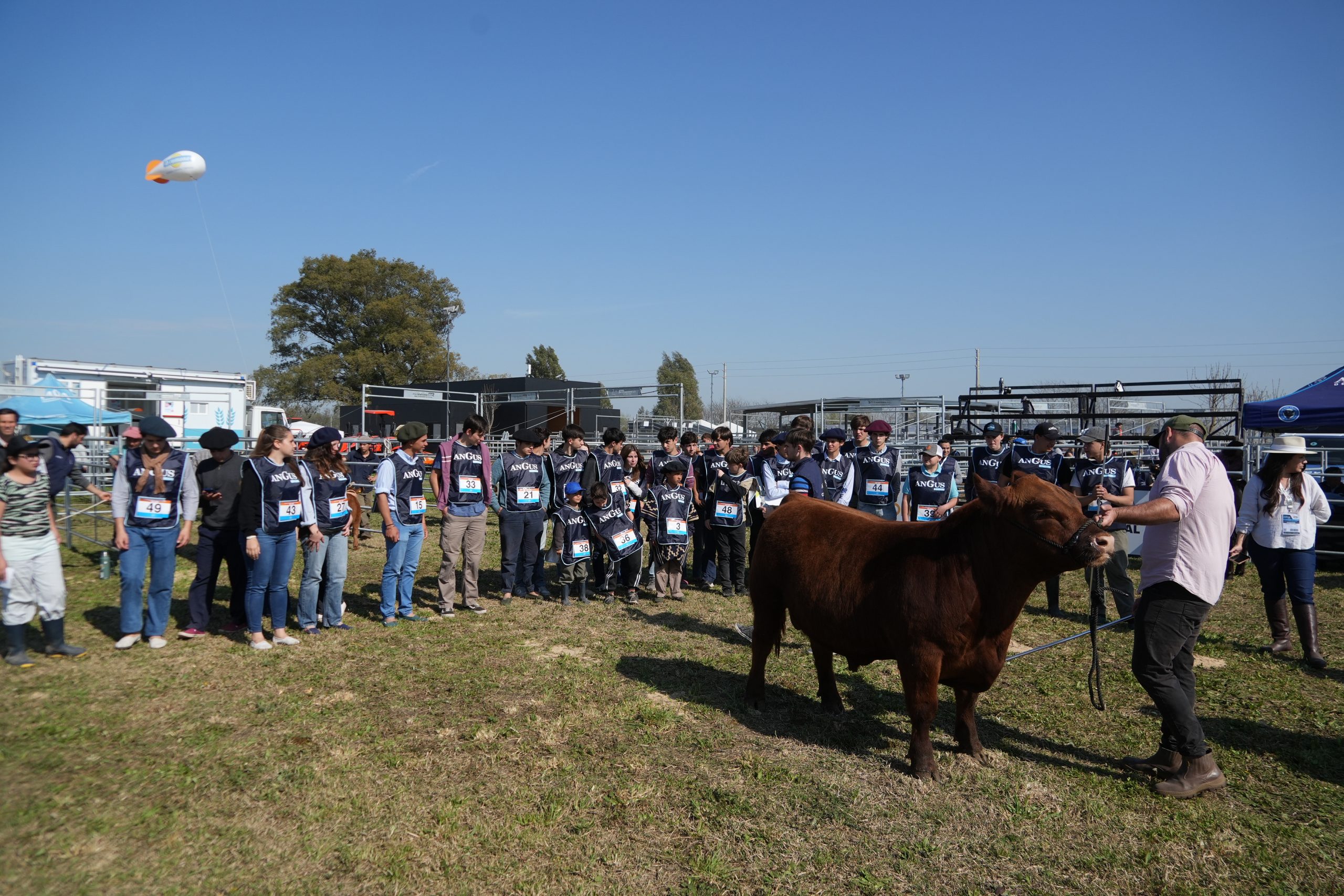 Los más pequeños debutaron en la pista Angus