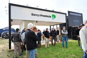 Banco Provincia llega a Expo Angus de Primavera con financiamiento al 33% para compras en remates