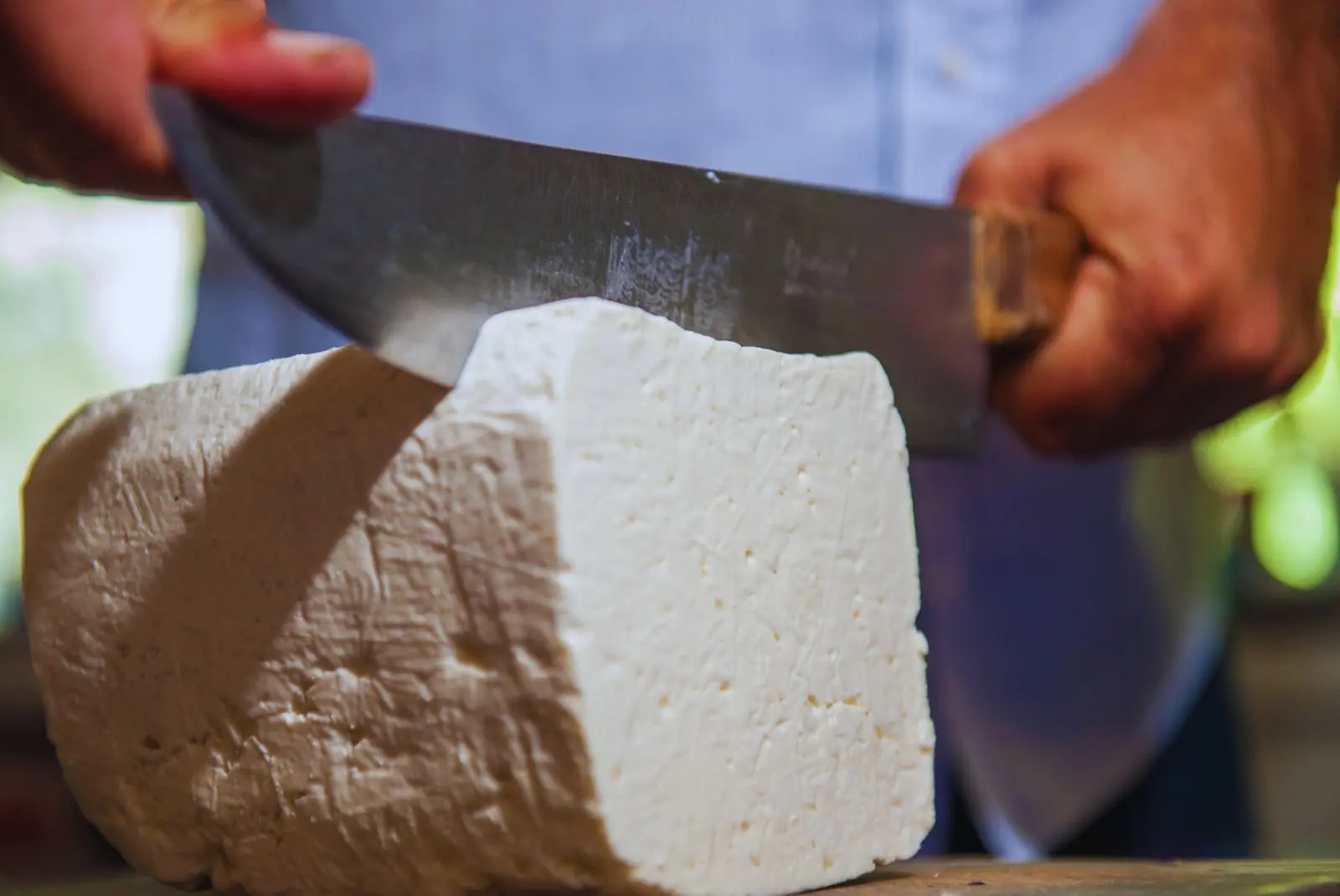 ¿Sabías que el queso con fitoesteroles y antioxidantes naturales reduce el colesterol?