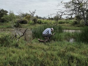 La cultura en el campo: un relato en primera persona