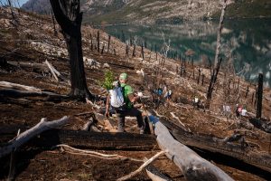 Por una América Latina más verde: John Deere plantó 10.000 árboles nuevos