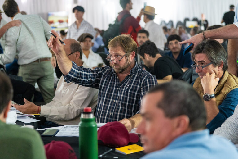 Remate de Rosgan en Expoagro: Se vendieron 25.500 animales de unos 300 remitentes