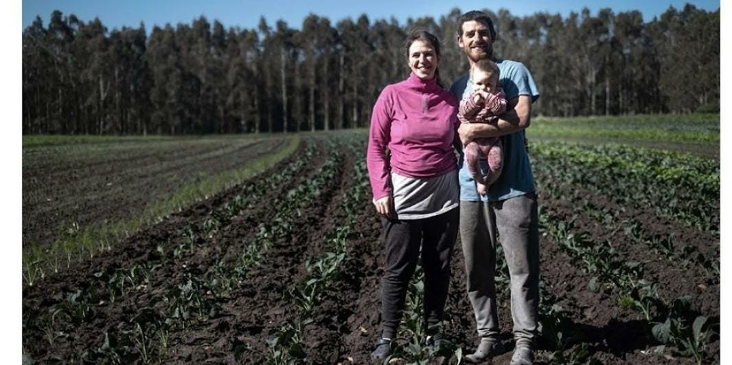 Huerta Los Serenos, el emprendimiento familiar agroecológico que eligen los marplatenses