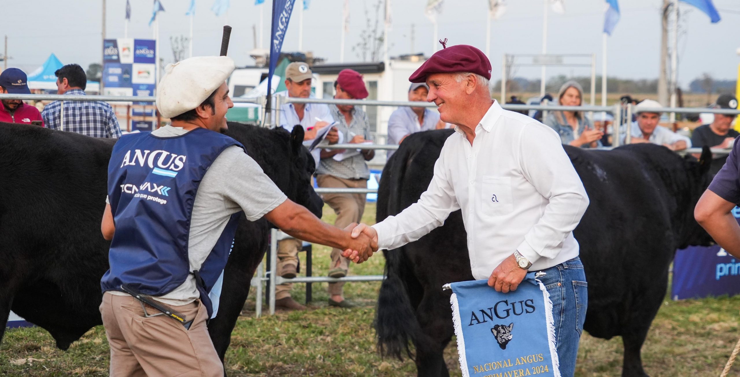 Los lotes grandes campeones terneros fueron de Nirihuau y Santa Rosa