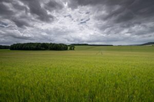 El 2024 cerró con un 26% más de lluvias, pero el norte bonaerense enfrenta reservas hidricas críticas