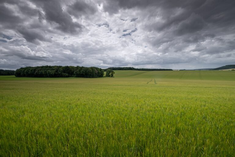 La última semana del año llega con tormentas para el norte y oeste del área agrícola