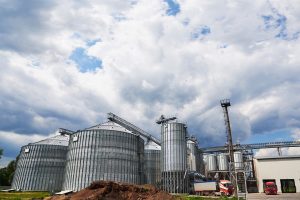 Exportaciones Agroindustriales: qué vendemos, a dónde, cuánto y mucho más