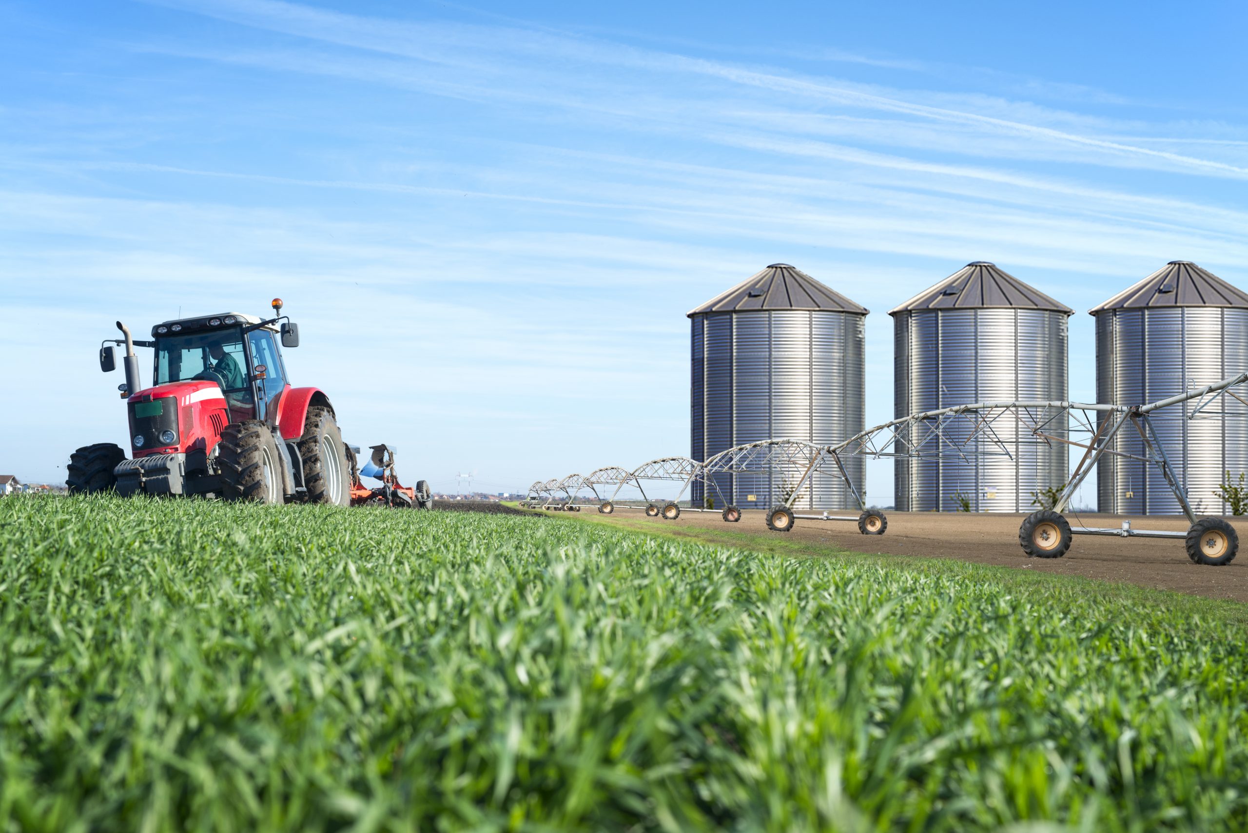 Medallas olímpicas en la agroindustria