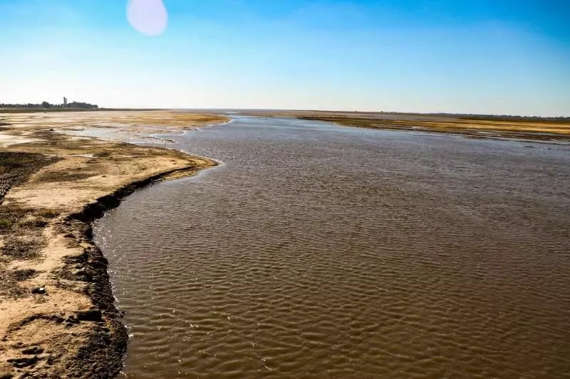 Cuenca Paraná-Paraguay: cómo producir ante un escenario de bajante