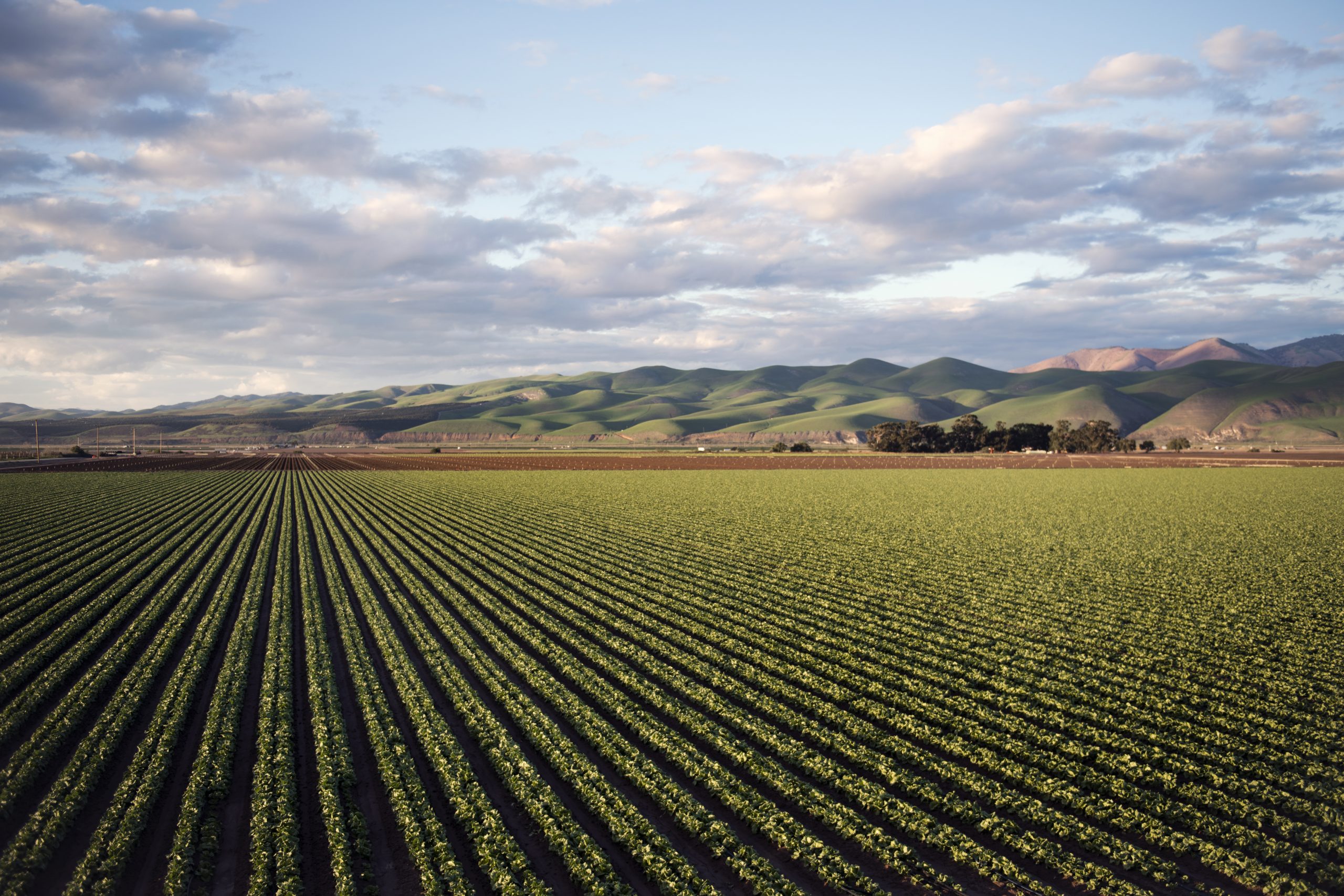 En octubre ingresaron USD 2.553 millones por las agroexportaciones