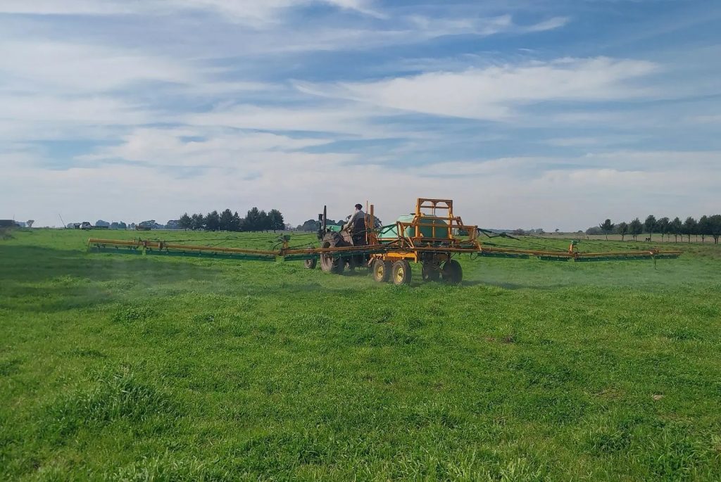 Estudian biopreparados para mejorar la fertilización de pasturas