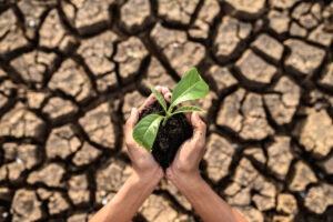 Argentina y el balance posterior a la COP29 en términos de agenda climática