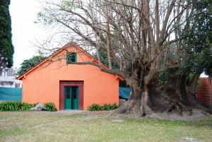 Los 90 años del bucólico hogar, galpón y atelier del artista César Bustillo