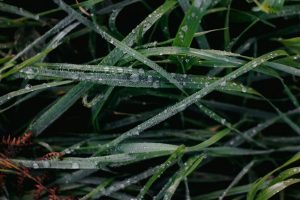 Clima: Octubre comenzó con un frente cálido y algunas precipitaciones