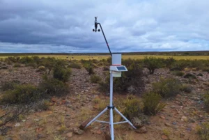 Radar ganadero para la Patagonia