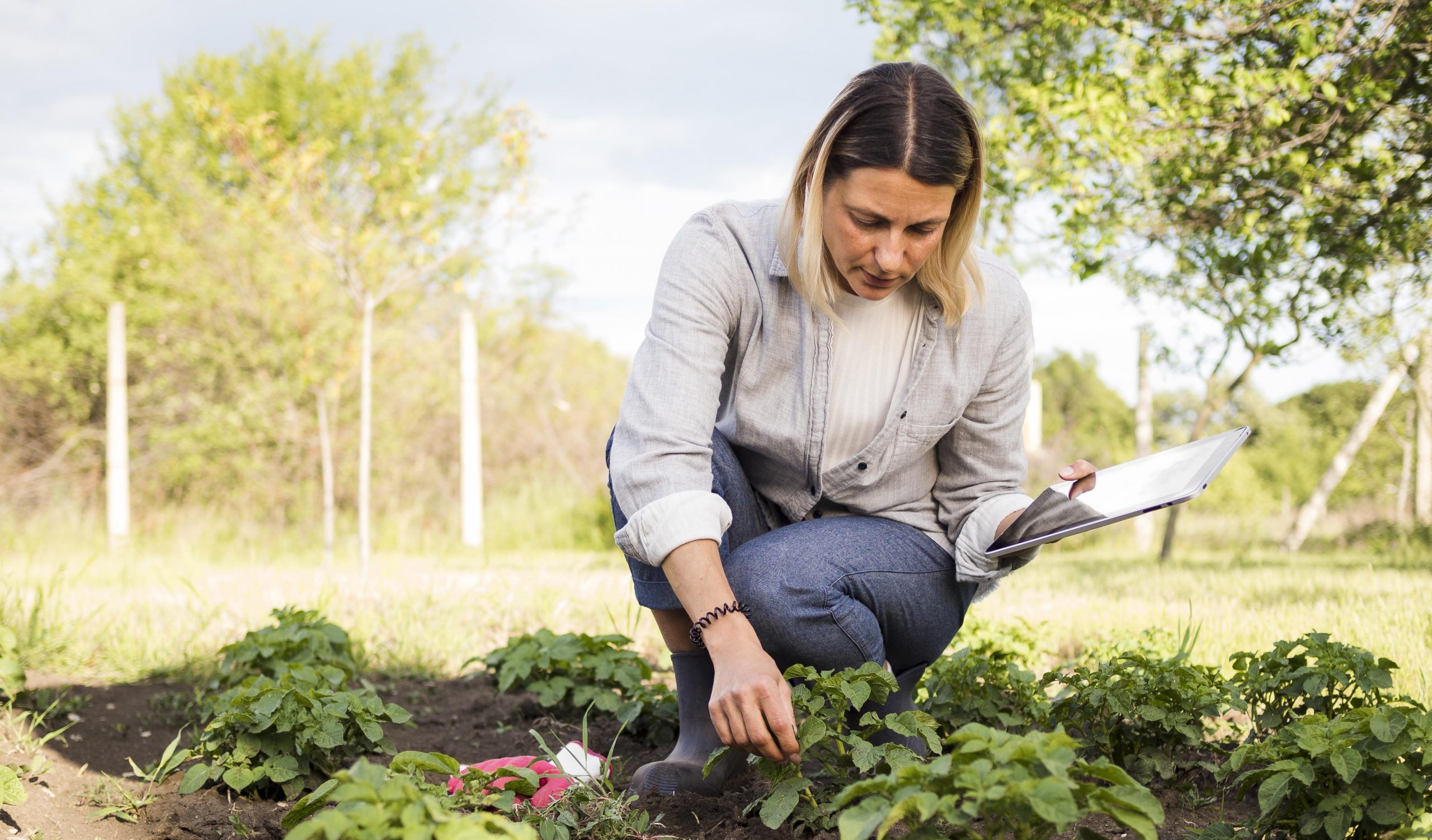 Abrieron la inscripción a la Diplomatura en Comunicación Agropecuaria de la UNLZ