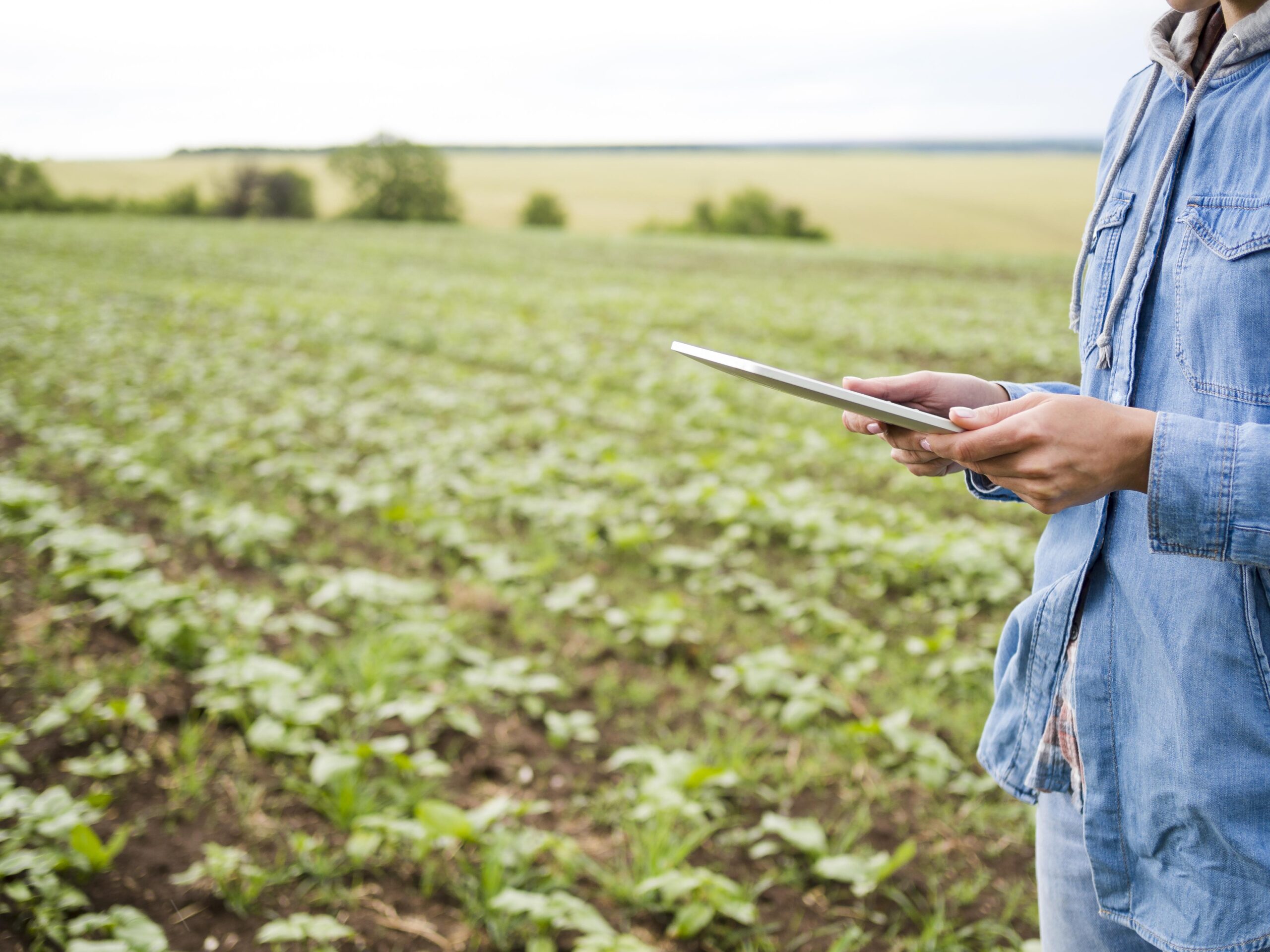 Crece el financiamiento bancario en dólares al sector agrícola en los primeros 9 meses del año